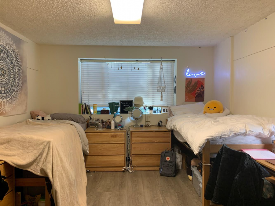 Pros and Cons: Dorm Life – The Arcade