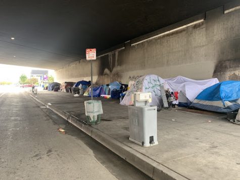 This is Homelessness in Los Angeles.