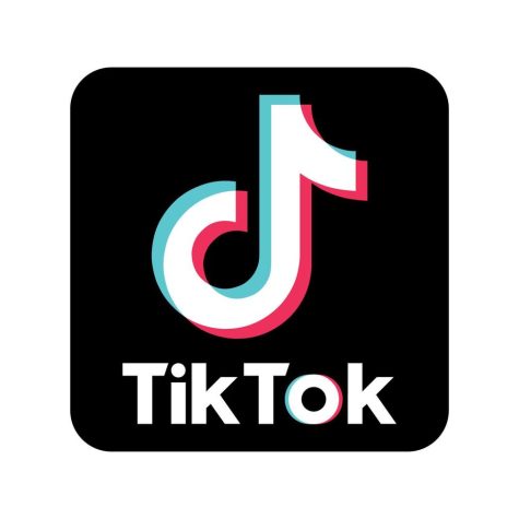 Normalized Bullying on Media Platforms: TikTok