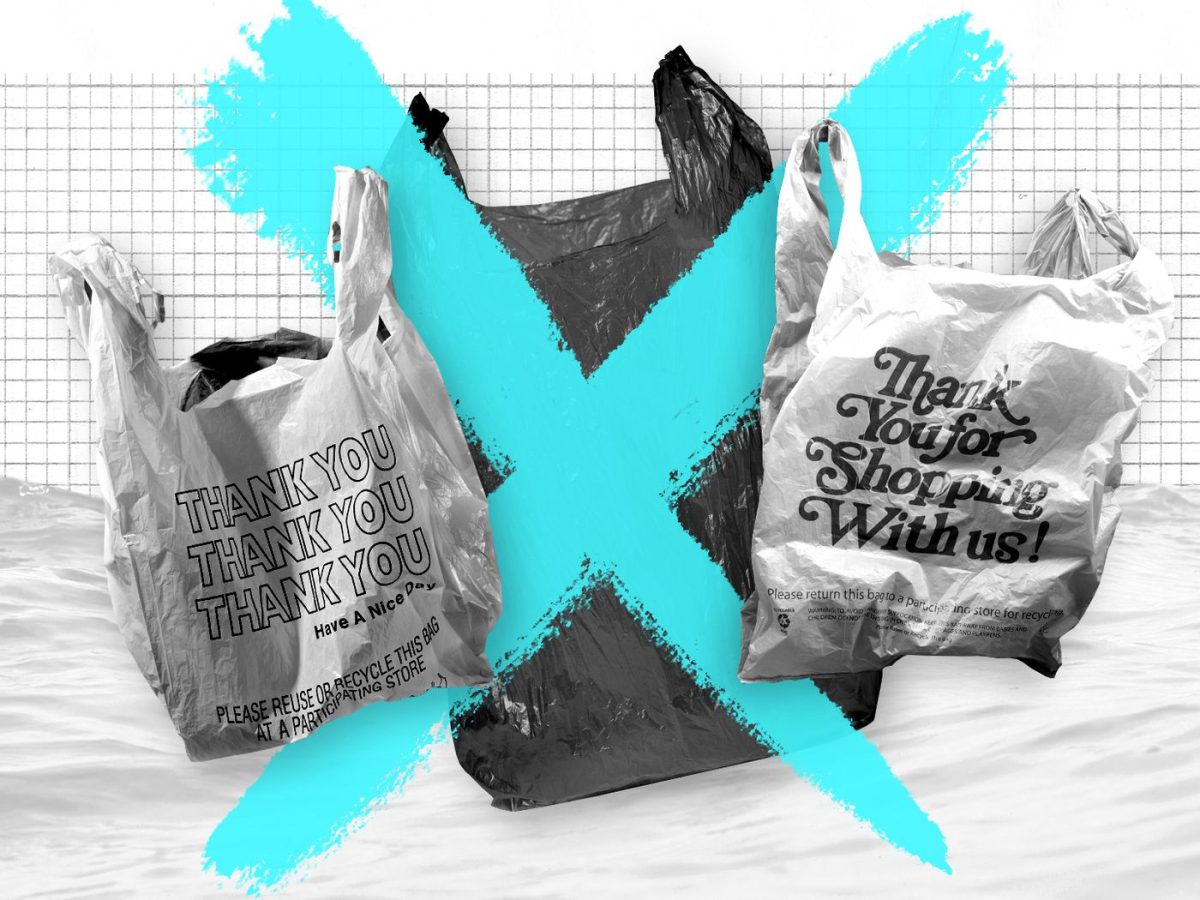 Good riddance to the harmful effects of overly used plastic bags. CC0 1.0
