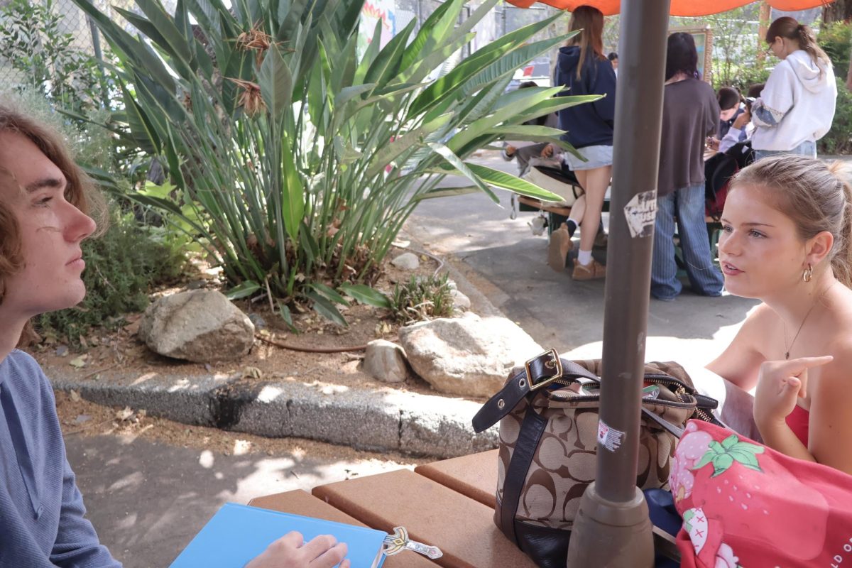 The Specialty of Zoo Electives